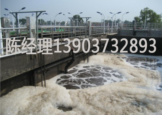 屠宰，養(yǎng)殖廢水處理